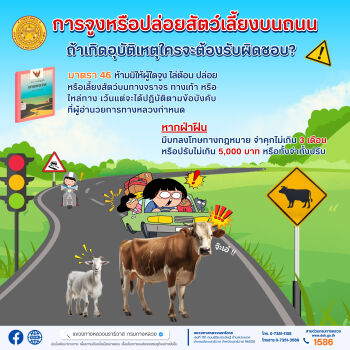 การจูงหรือปล่อยสัตว์เลี้ยงบนถนน ถ้าเกิดอุบัติเหตุใครจะต้องรับผิดชอบ ?